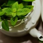 Artikel kali ini membahas mengenai beberapa manfaat kesehatan mint yang ternyata sangat baik untuk tubuh dan mental.