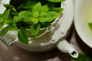 Artikel kali ini membahas mengenai beberapa manfaat kesehatan mint yang ternyata sangat baik untuk tubuh dan mental.