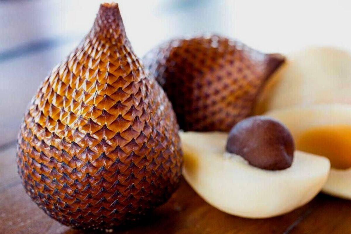 Artikel kali ini membahas mengenai beberapa manfaat buah salak untuk kesehatan yang harus Anda ketahui dan pahami.