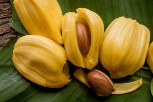 Artikel kali ini membahas mengenai beberapa manfaat buah nangka yang sangat baik untuk kesehatan tubuh manusia.