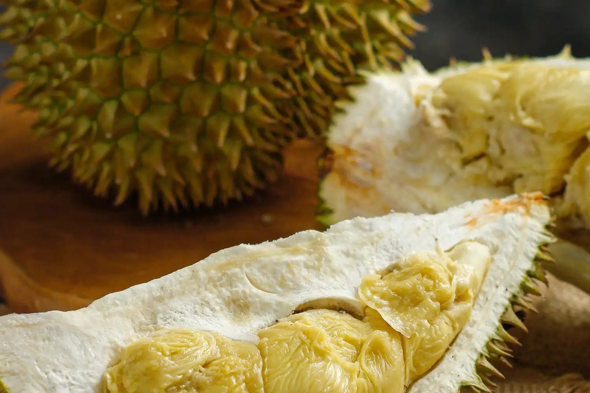 Artikel kali ini membahas mengenai beberapa tips memilih durian yang manis dan juga lezat agar tidak salah pilih.