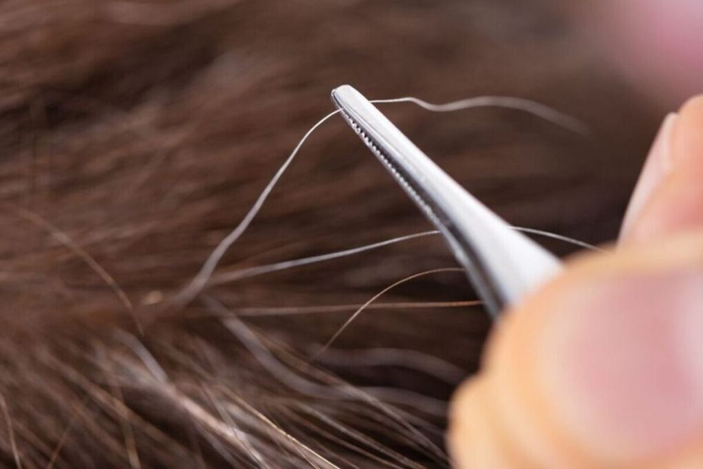 Artikel kali ini membahas mengenai beberapa tips dan cara mencegah rambut beruban di usia muda agar rambut lebih sehat.