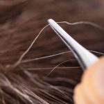 Artikel kali ini membahas mengenai beberapa tips dan cara mencegah rambut beruban di usia muda agar rambut lebih sehat.